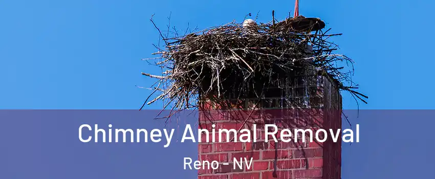  Chimney Animal Removal Reno - NV