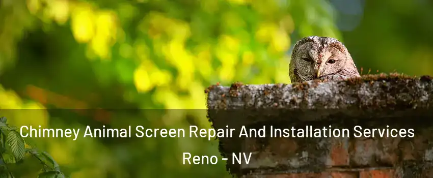  Chimney Animal Screen Repair And Installation Services Reno - NV