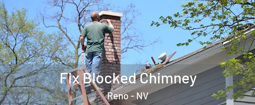  Fix Blocked Chimney Reno - NV