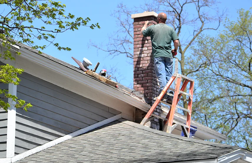 Chimney & Fireplace Inspections Services in Reno, NV
