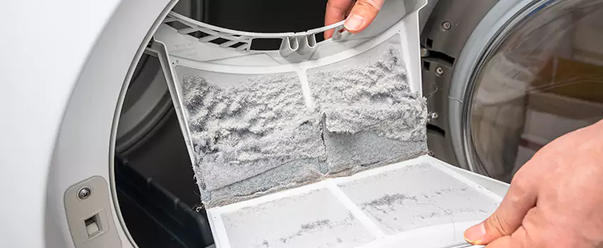 Best Dryer Lint Removal Company in Reno, Nevada