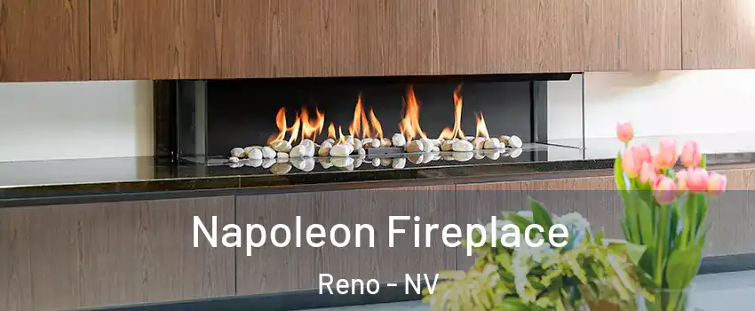  Napoleon Fireplace Reno - NV